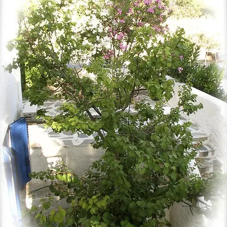 Alexandros Apartments * Parikia (Paros)